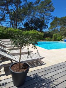 B&B / Chambres d'hotes Villa Sisyphe chambre