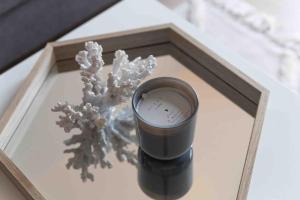 Appartements Le VanGogh - grand studio Disney 8 minutes : Studio avec Lit Queen-Size