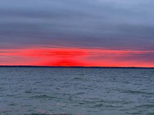 Tiny House at Piney point