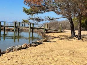 Tiny House at Piney point