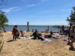 Tiny House at Piney point