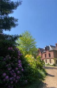 La chambre des écureuils