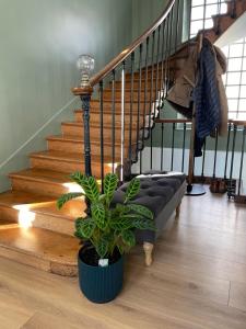 Sejours chez l'habitant Clos Sanouva, Fougere : photos des chambres