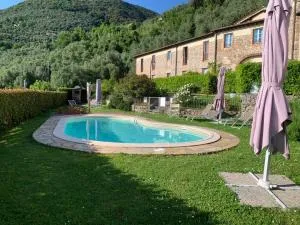 Il Grillo sull'Olivo - Lucese