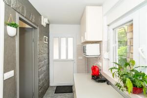 Lapad Sunshine Apartment