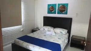 Littlereef - Cueva de Morgan