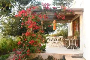 Flor da Mata - Lagoa Sêca