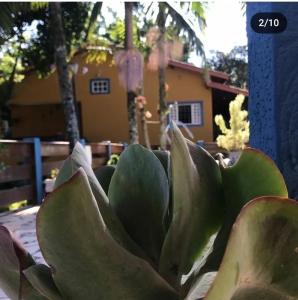 Chácara em Itu Tomorrowland