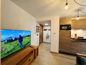 Charmant appartement aux Gets, 2 chambres, Wi-Fi, parking inclus - FR-1-671-265