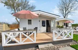 Seeschwalbe - Fehmarn