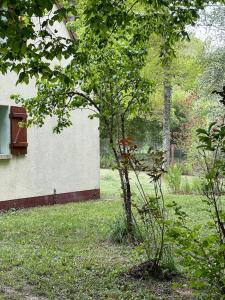 Gîte Les Reculons au pied du lac