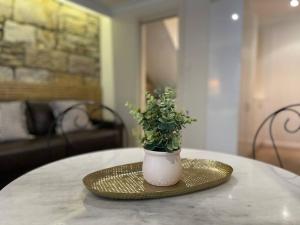 Sydney Escape - Pyrmont Stylish Studio Apartment