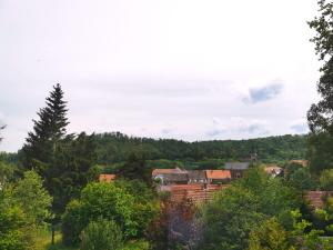 DAS Ferienhaus Waldblick