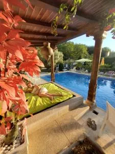 Quinta do Reijaço - Lugar