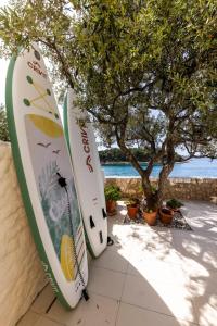 Casa Mano Tribunj with beach