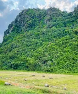 Hieu-Homestay - Quang Binh