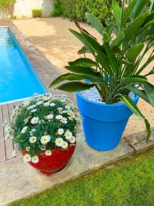 Maisons de vacances Grande maison, 5 chambres, piscine a 5 min d'Arles : photos des chambres