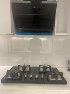 Brand new premium penthouse