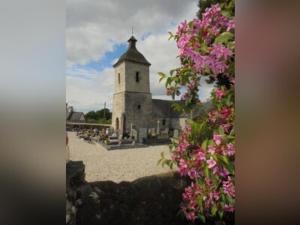 Appartements The Nightingales : photos des chambres