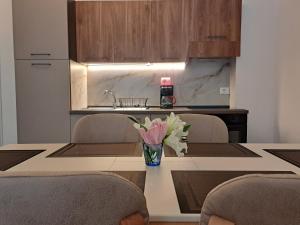 Mamani Apartments Saranda