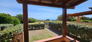 SOBRE EL MAR LA PELOSA img11