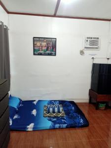 Tiny House we call Love Shack