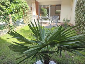 Appart cosy Carnac - T2 avec jardin, plage à 200m & Séjours à thèmes en option, Thalasso à 5mn