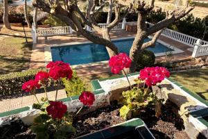 Mediterranean House in Valencia