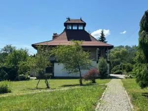 Троянда Карпат - Chynadiyovo