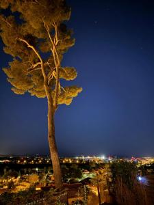 Nid douillet vue mer Hyères