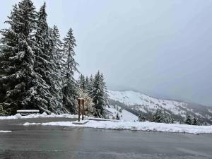 Appartements Le Pierrer 5 4 couchages : photos des chambres