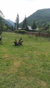 Casa Cerbului Moisei