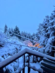 Apartamento en Formigal con vistas