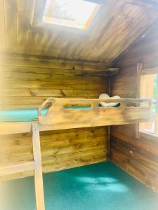 B&B / Chambres d'hotes Chateau de Crenille : photos des chambres