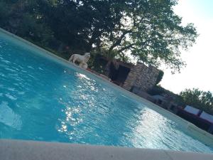 Maisons de vacances Les Gites du Mont Ventoux : photos des chambres