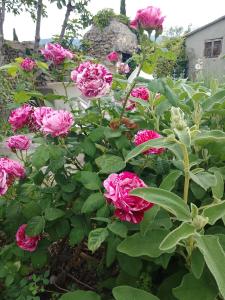 Maisons de vacances Les Gites du Mont Ventoux : photos des chambres