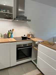 Appartements Cosy and Spacious appartement near metro line 4 & RER B : photos des chambres