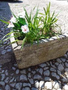 Maisons de vacances Les Gites du Mont Ventoux : photos des chambres