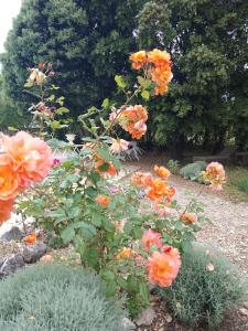 Maisons de vacances Les Gites du Mont Ventoux : photos des chambres