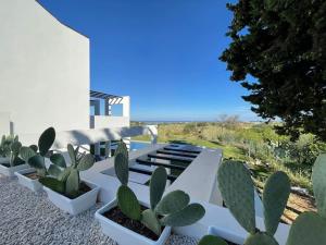 Luxury Villa in Gulf of Castellammare