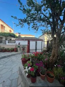 Nikis home - Repanídhion