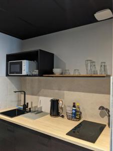 Appartements Le 12 cosy wifi et parking gratuit 7b : Appartement 1 Chambre