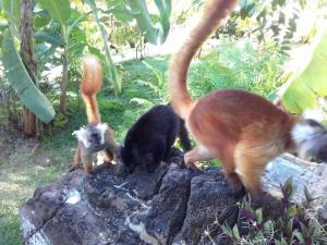 Maison éco-lodge avec vue imprenable sur le lagon