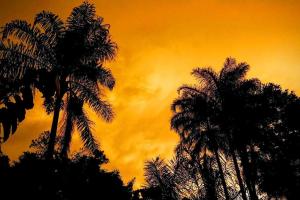 Maison éco-lodge avec vue imprenable sur le lagon