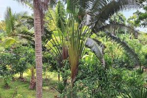 Maison éco-lodge avec vue imprenable sur le lagon