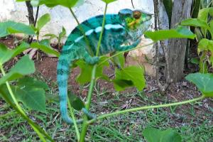 Maison éco-lodge avec vue imprenable sur le lagon