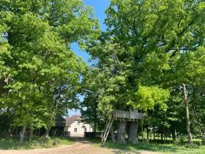 Viesu nams Vijas - Skaystgiris