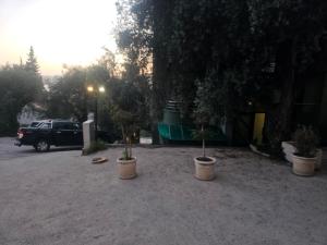 Langust - free parking