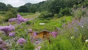 Tara vegetarian retreat guesthouse - Llanllawdog