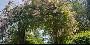 Tara vegetarian retreat guesthouse